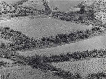 MANUEL ÁLVAREZ BRAVO (1902-2002) A portfolio entitled Photographs by Manuel Álvarez Bravo.